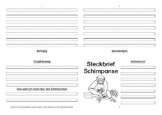 Schimpanse-Faltbuch-vierseitig-2.pdf